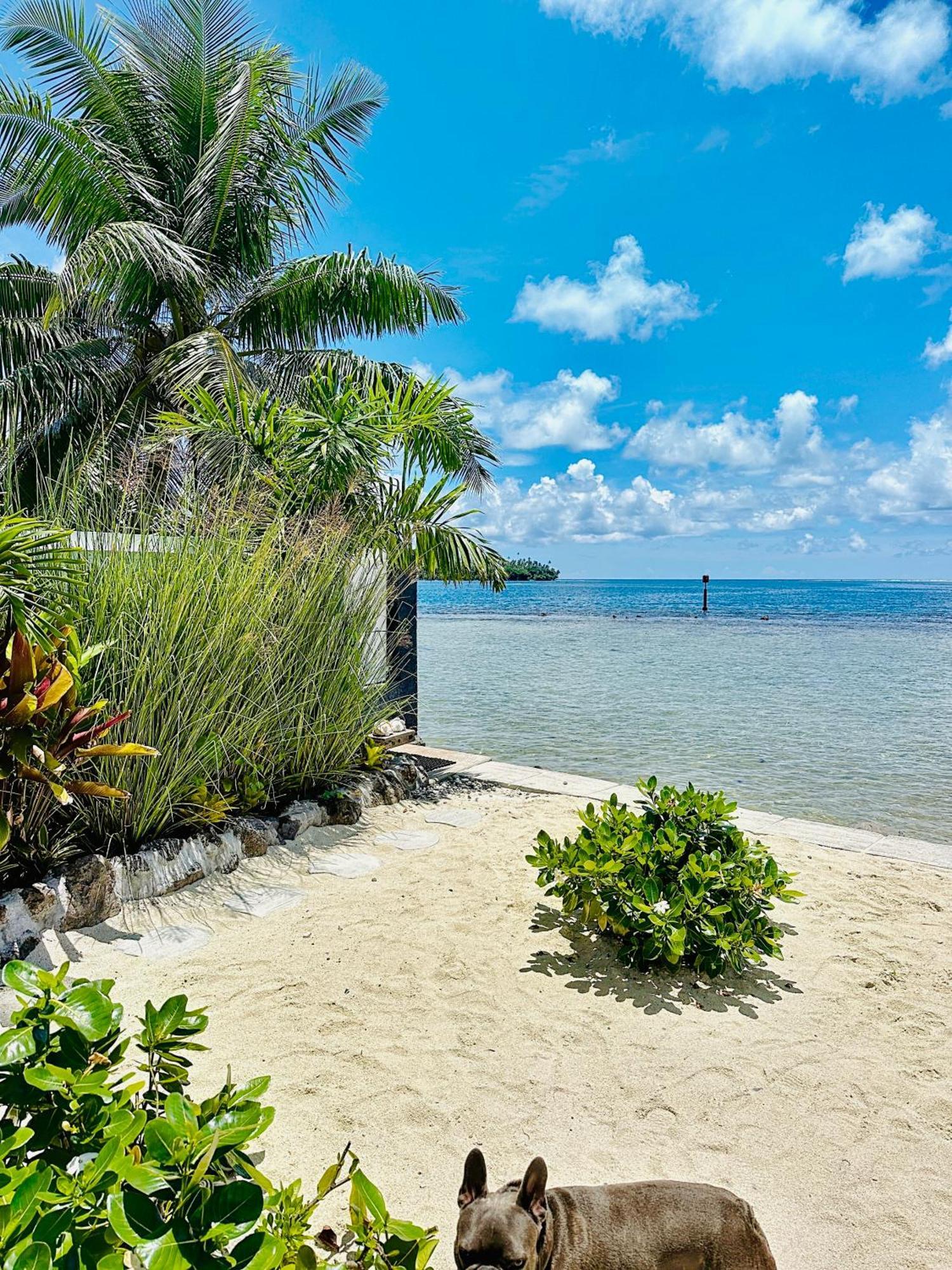 Pension Irivai Appartement Puatou 1 Chambre Bord De Mer Uturoa Bagian luar foto