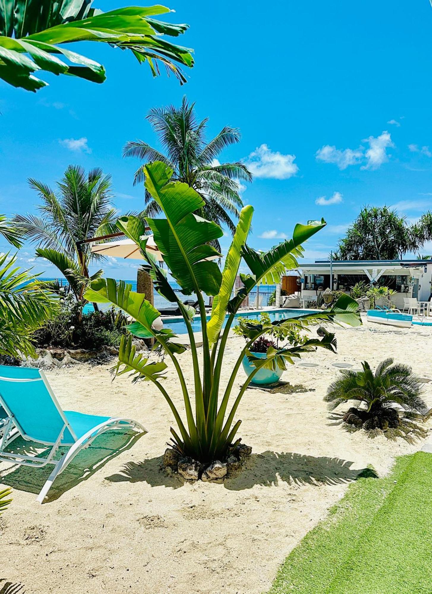 Pension Irivai Appartement Puatou 1 Chambre Bord De Mer Uturoa Bagian luar foto